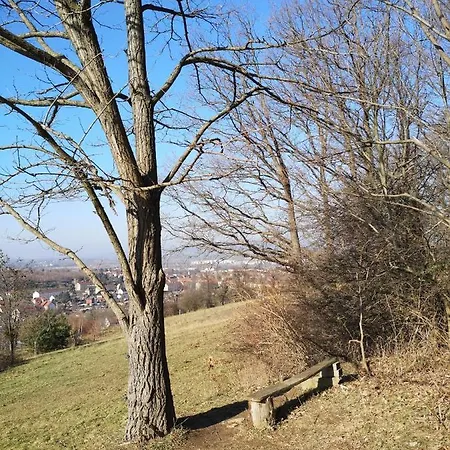 Weisses Ross Pirna